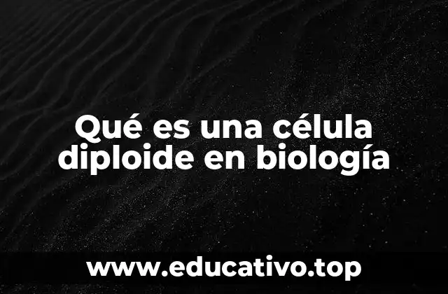 Qué es una célula diploide en biología