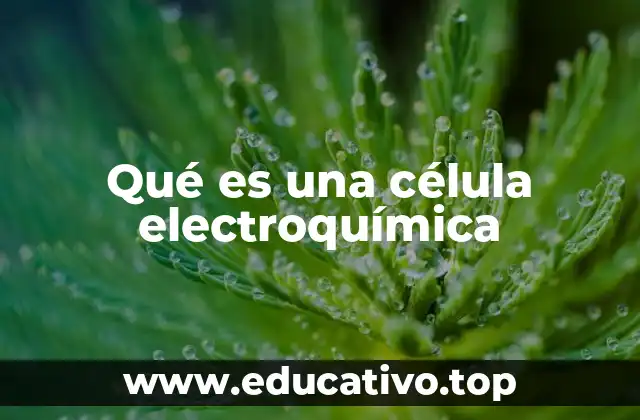Qué es una célula electroquímica