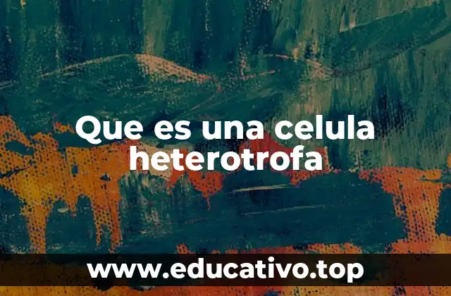 Que es una celula heterotrofa