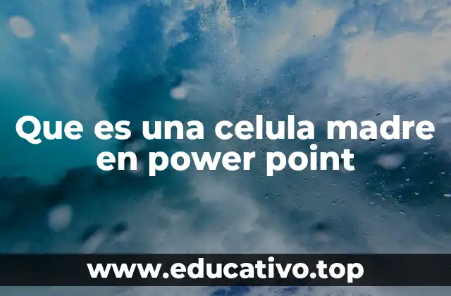 Que es una celula madre en power point