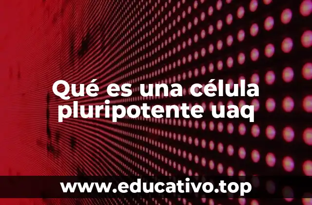 Qué es una célula pluripotente uaq