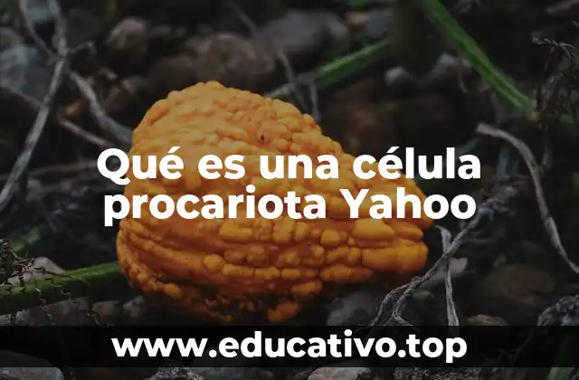 Qué es una célula procariota Yahoo