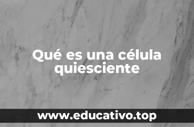 Qué es una célula quiesciente