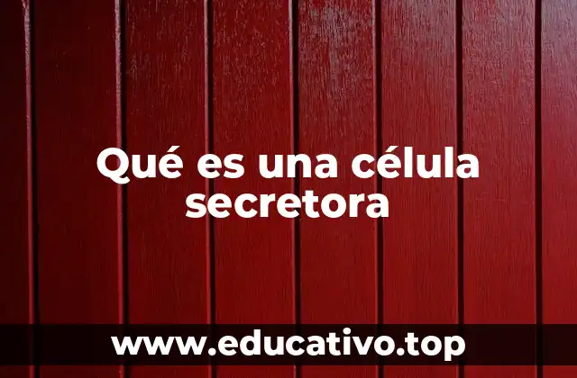 Qué es una célula secretora