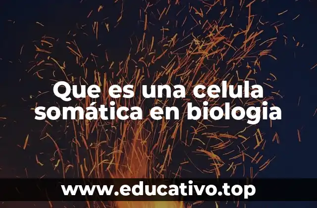 Que es una celula somática en biologia