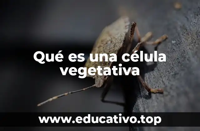 Qué es una célula vegetativa