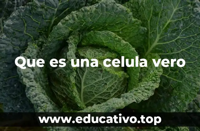 Que es una celula vero