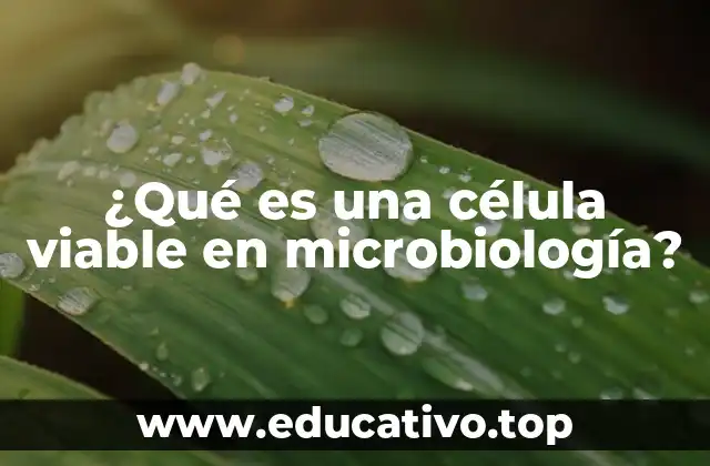 ¿Qué es una célula viable en microbiología?