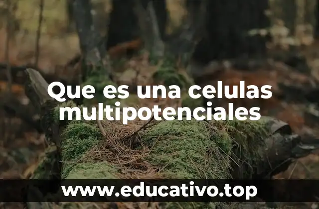 Que es una celulas multipotenciales