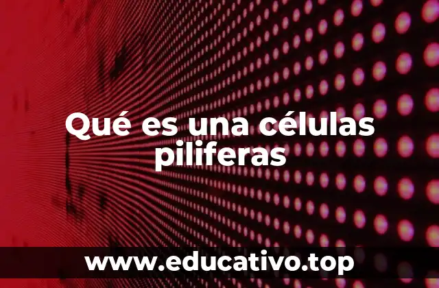 Qué es una células piliferas