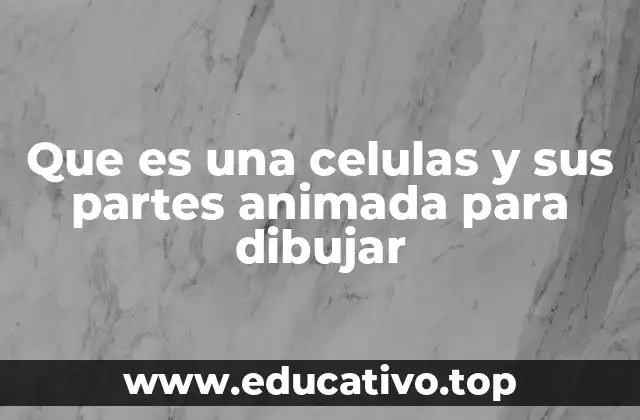 Que es una celulas y sus partes animada para dibujar