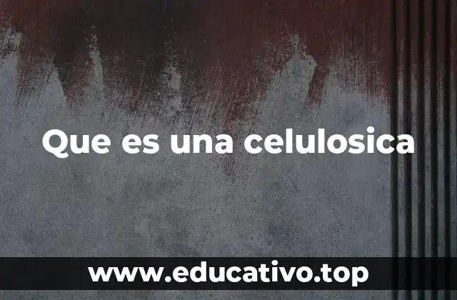 Que es una celulosica