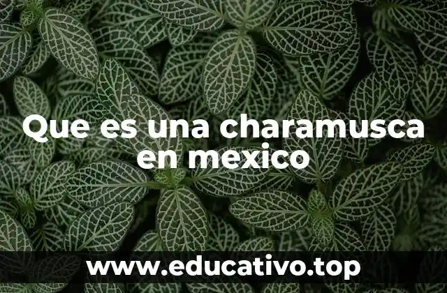 Que es una charamusca en mexico