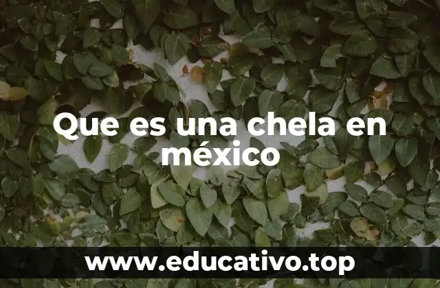 Que es una chela en méxico