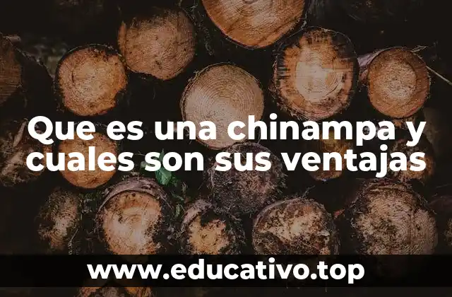 Que es una chinampa y cuales son sus ventajas