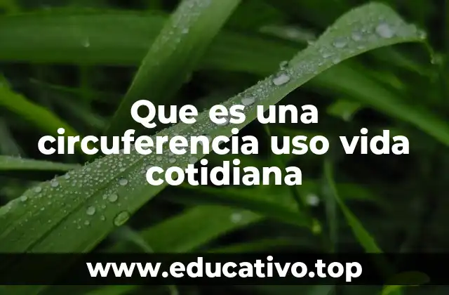 Que es una circuferencia uso vida cotidiana
