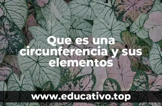 Que es una circunferencia y sus elementos