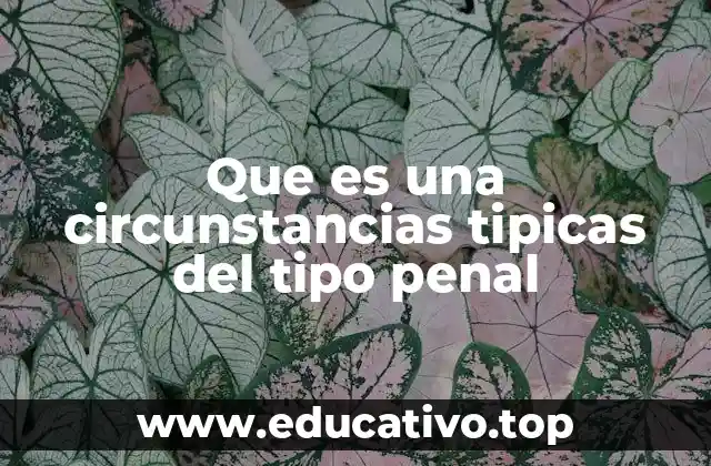 Que es una circunstancias tipicas del tipo penal