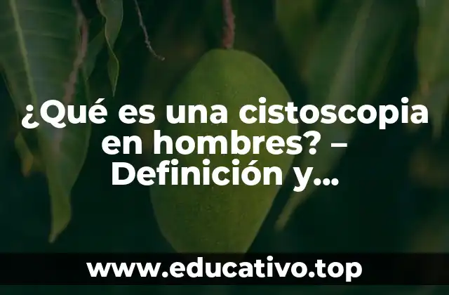 ¿Qué es una cistoscopia en hombres? – Definición y procedimiento