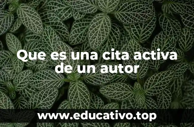 Que es una cita activa de un autor