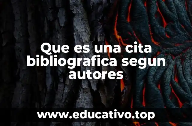 La relevancia de las citas en la construcción del conocimiento académico