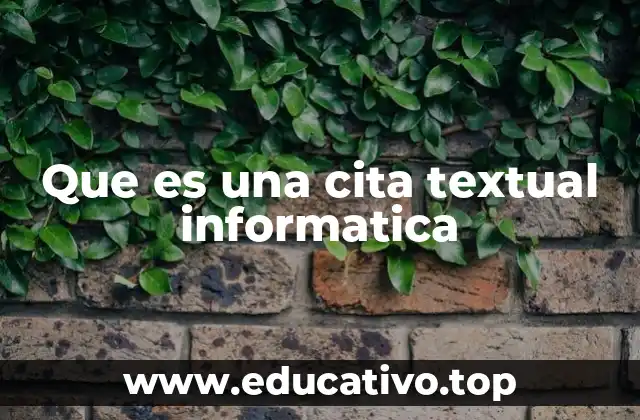 Que es una cita textual informatica