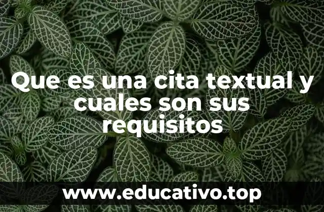 Que es una cita textual y cuales son sus requisitos