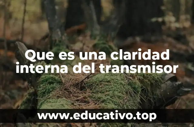 Que es una claridad interna del transmisor