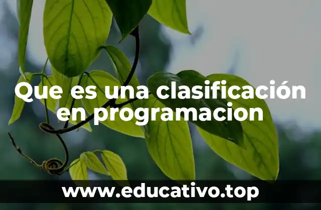 Que es una clasificación en programacion