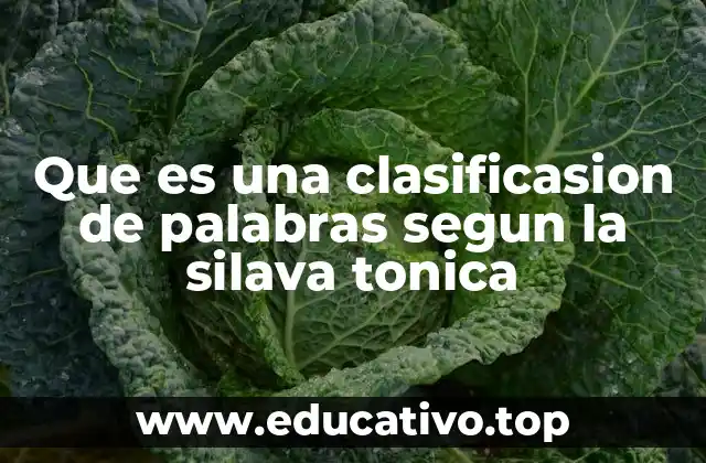 Que es una clasificasion de palabras segun la silava tonica