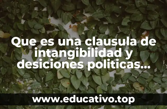 Que es una clausula de intangibilidad y desiciones politicas fundamentales