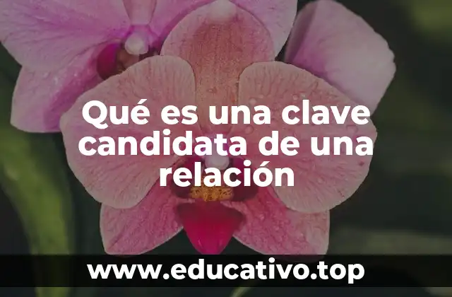 Qué es una clave candidata de una relación