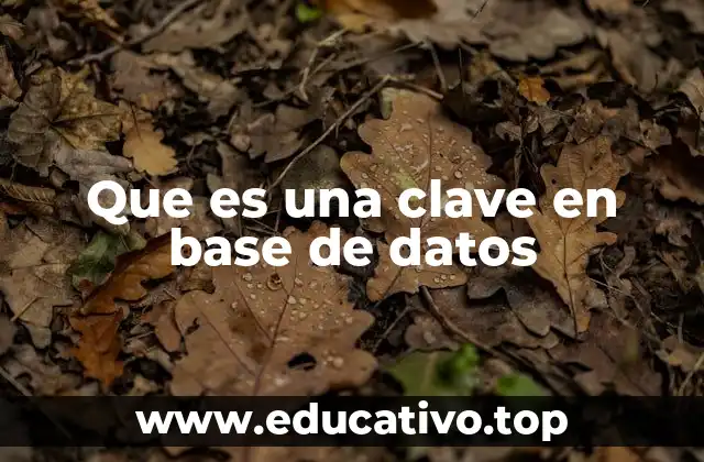 Que es una clave en base de datos