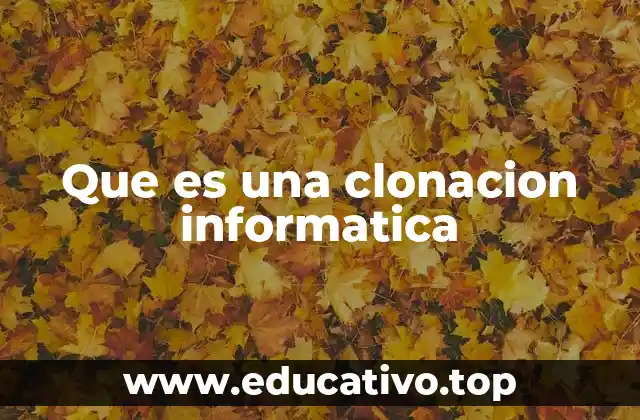 Que es una clonacion informatica