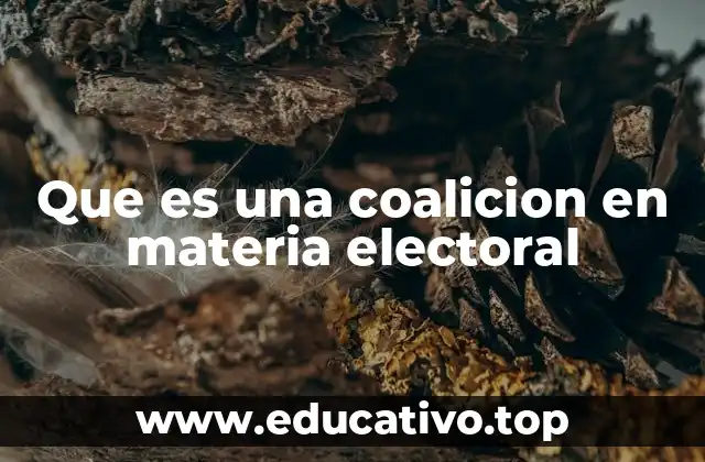 Que es una coalicion en materia electoral
