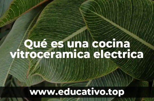 Qué es una cocina vitroceramica electrica