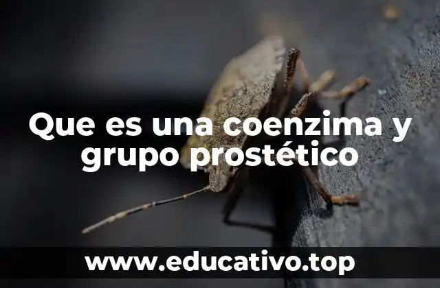 Que es una coenzima y grupo prostético