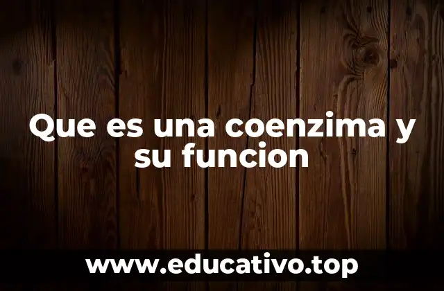 Que es una coenzima y su funcion