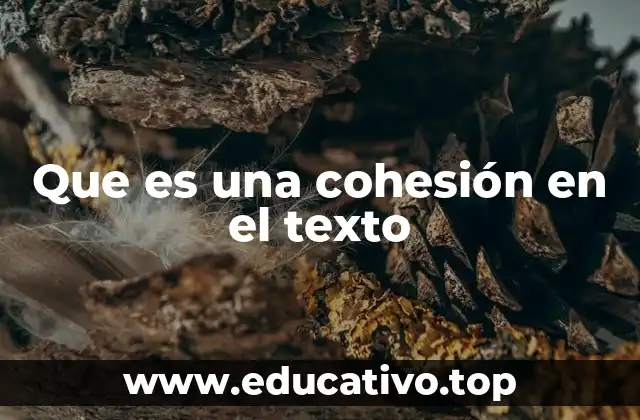 Que es una cohesión en el texto