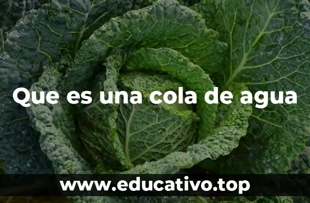 Que es una cola de agua