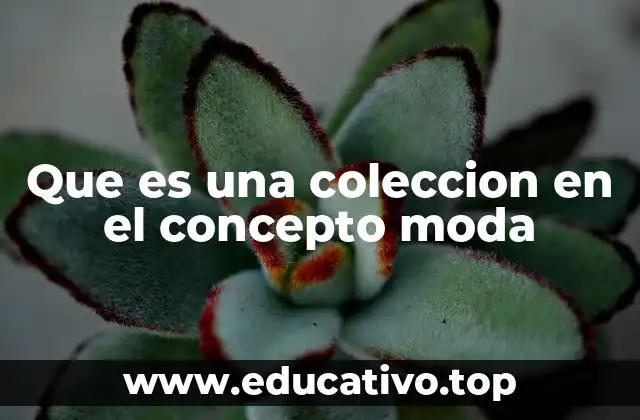 Que es una coleccion en el concepto moda
