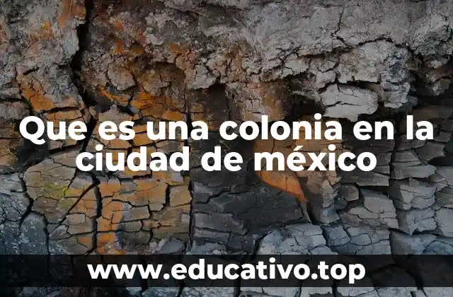 Que es una colonia en la ciudad de méxico