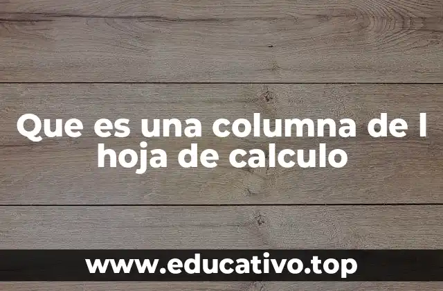Que es una columna de l hoja de calculo