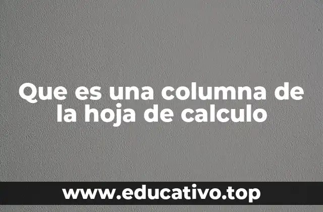 Cómo las columnas estructuran la información en una hoja de cálculo