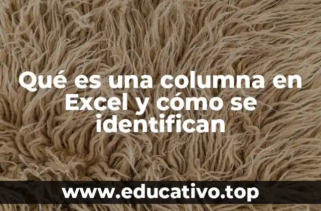 Qué es una columna en Excel y cómo se identifican