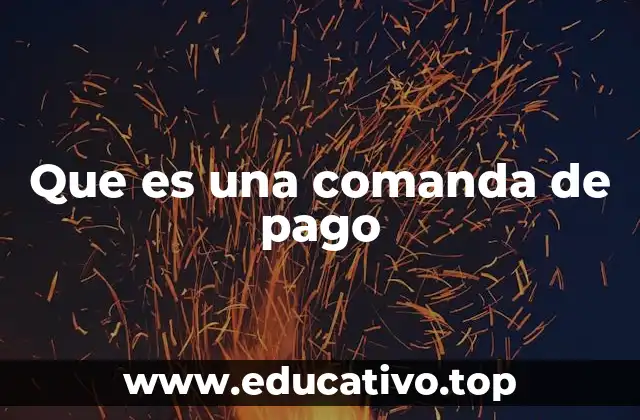 Que es una comanda de pago