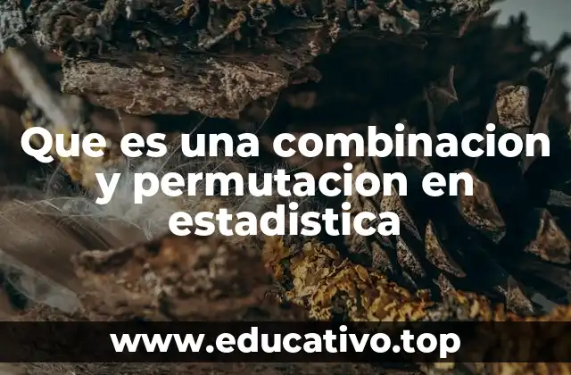Que es una combinacion y permutacion en estadistica