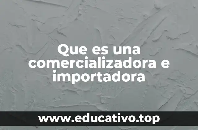 Que es una comercializadora e importadora