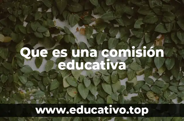 El rol de las comisiones en el desarrollo educativo