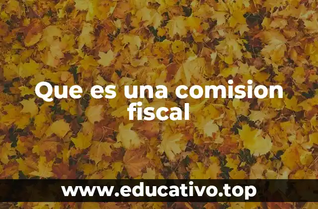 Que es una comision fiscal